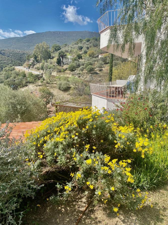 Ferienwohnung Ses Terrasses Cadaqués Exterior foto